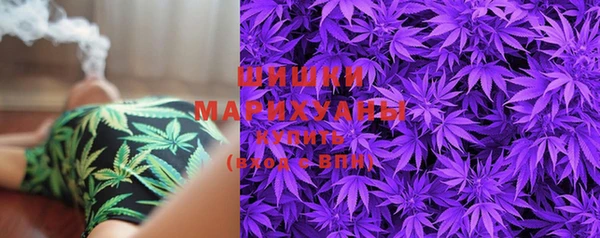 PSILOCYBIN Балахна