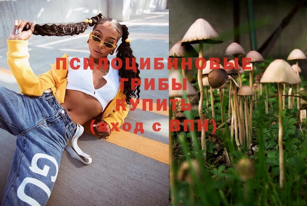 2c-b Баксан